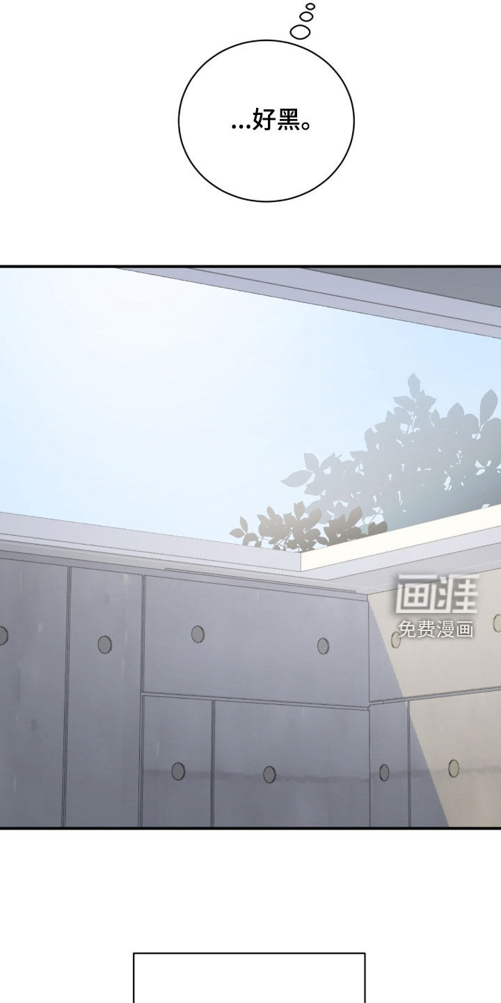 第66话13