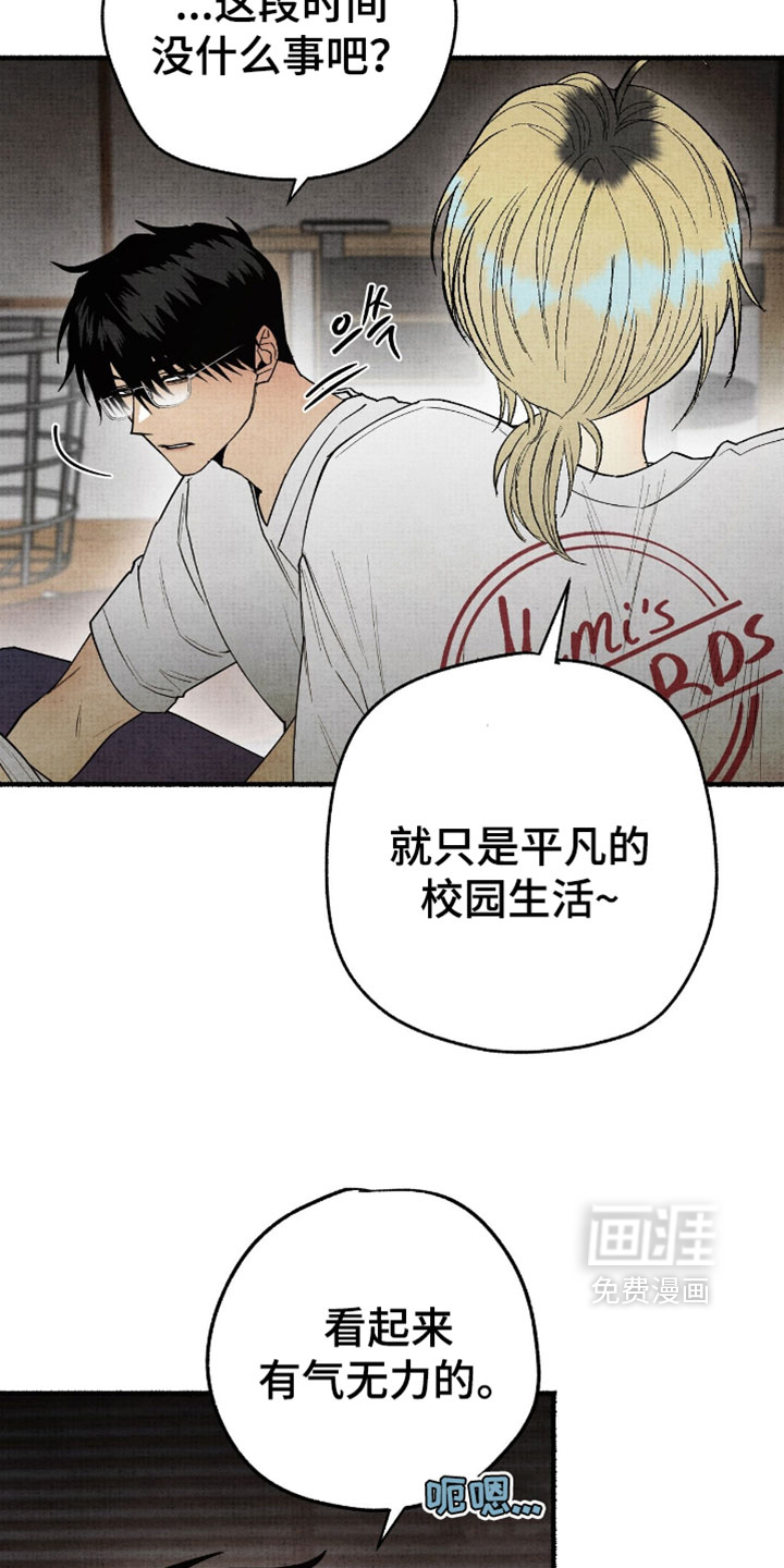第41话13