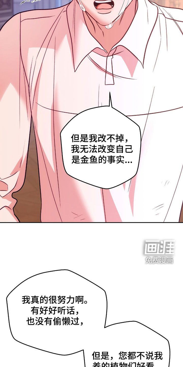 第36话33