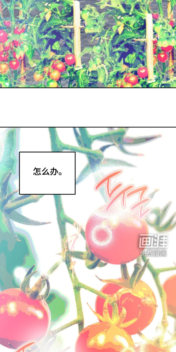 第40话15