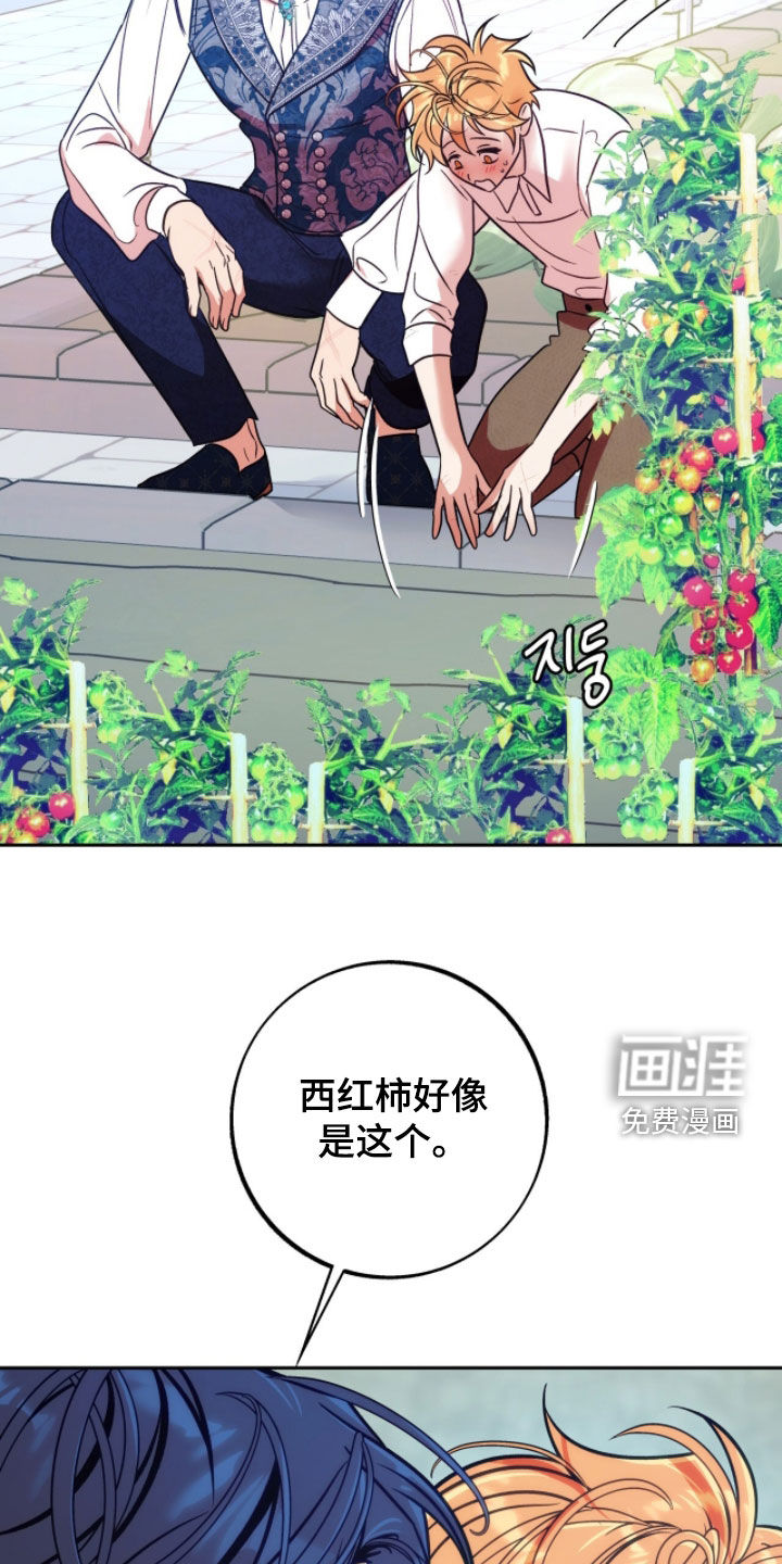 第40话19