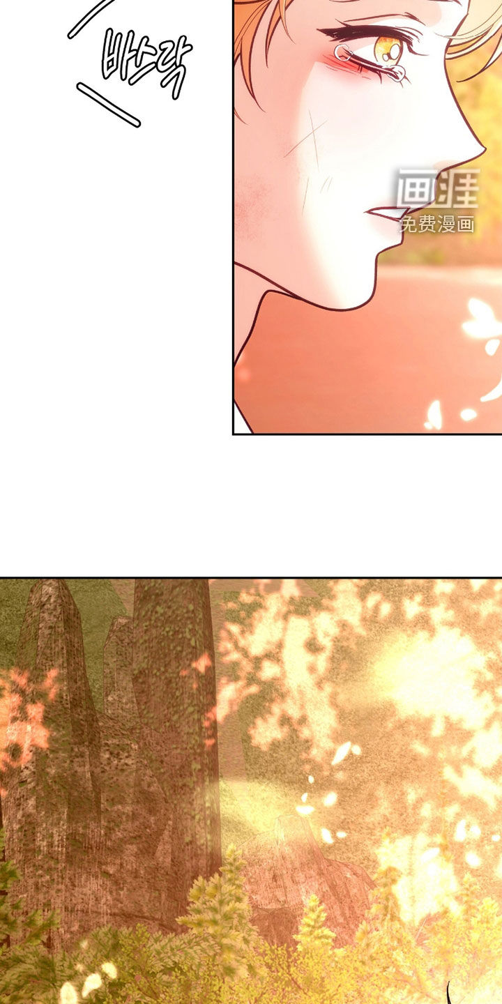第37话31