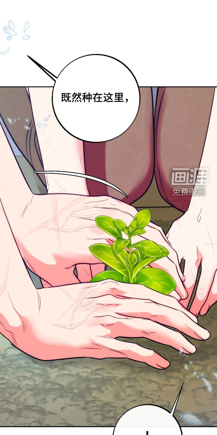 第41话0
