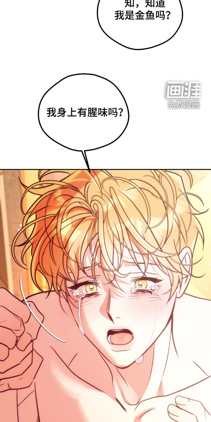第51话14
