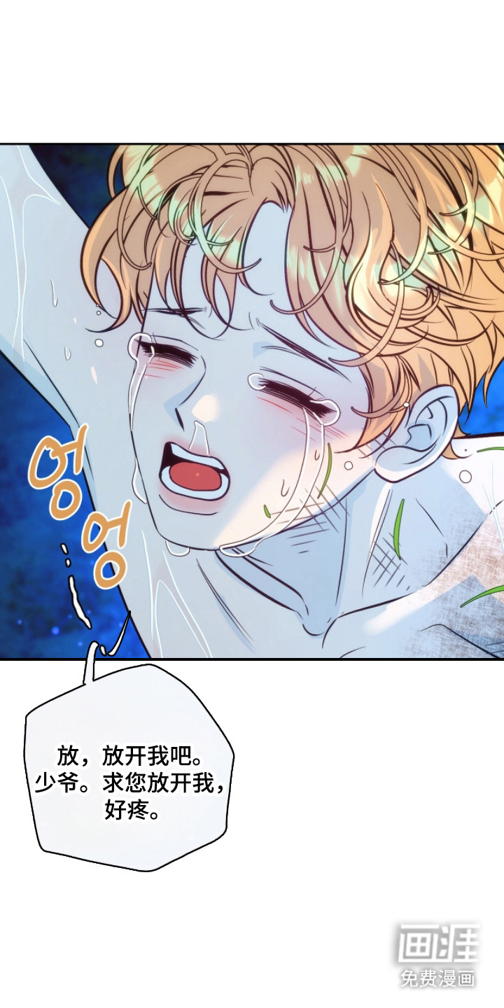 第5话11