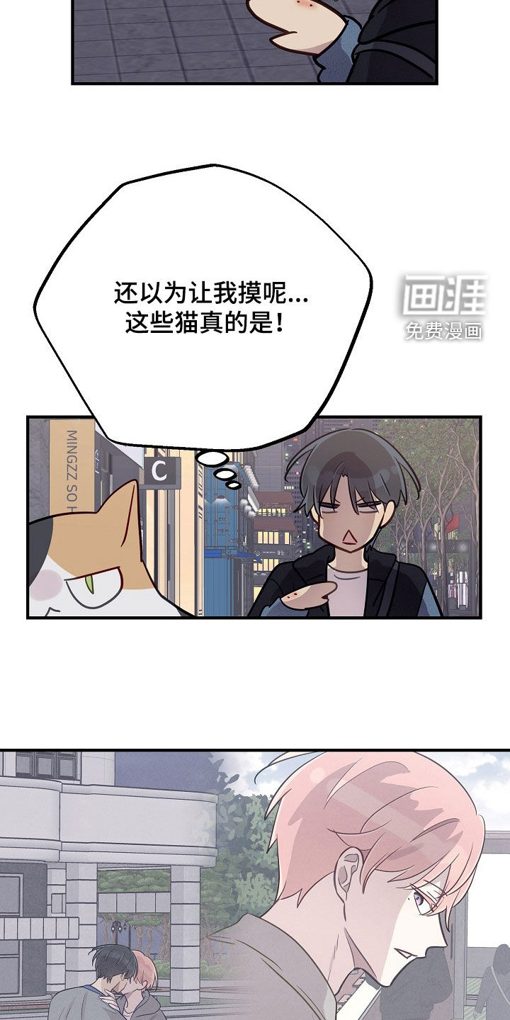 第77话7