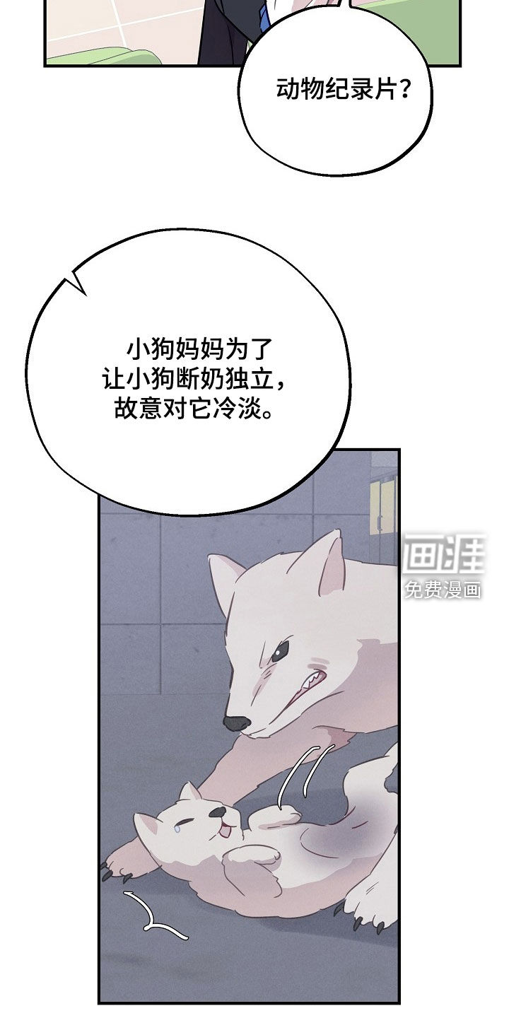 第52话12