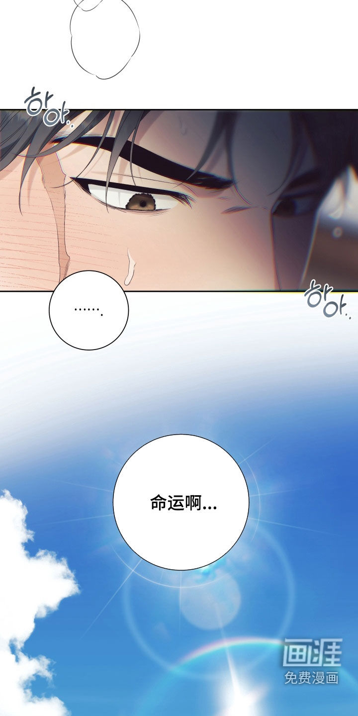 第13话8