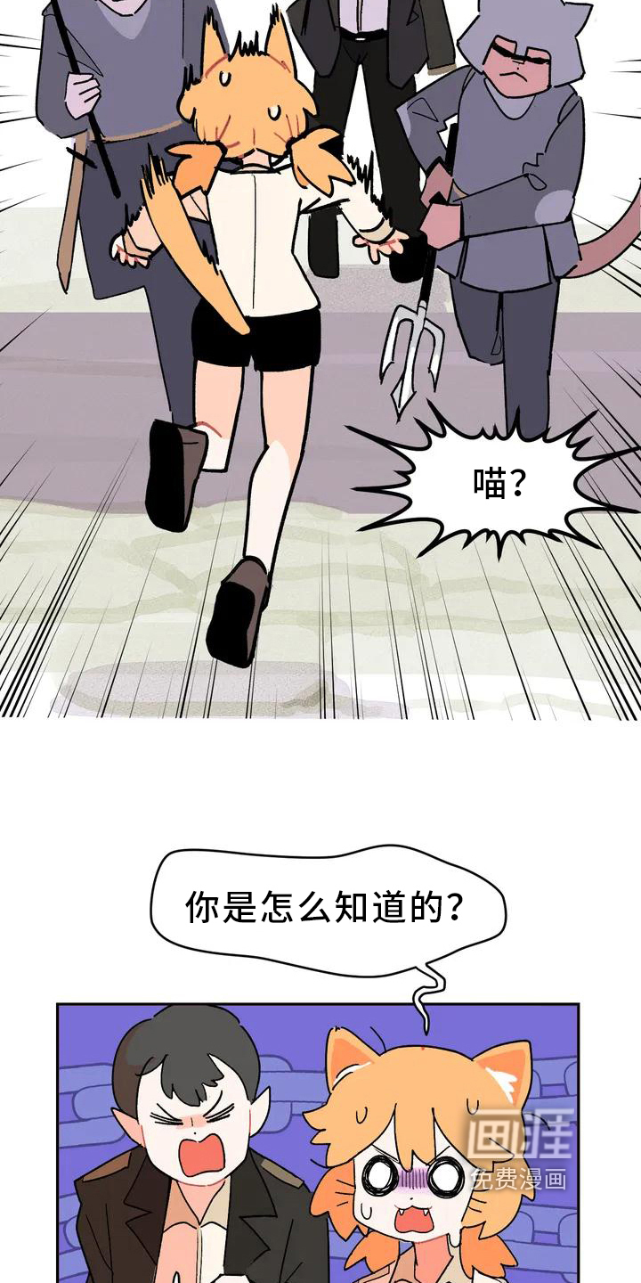 第5话10