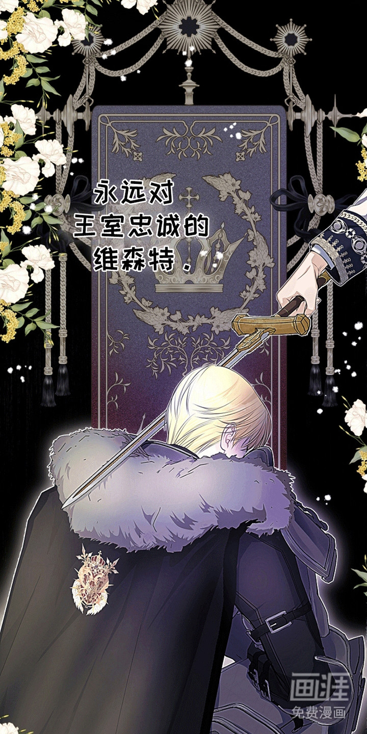 第11话12