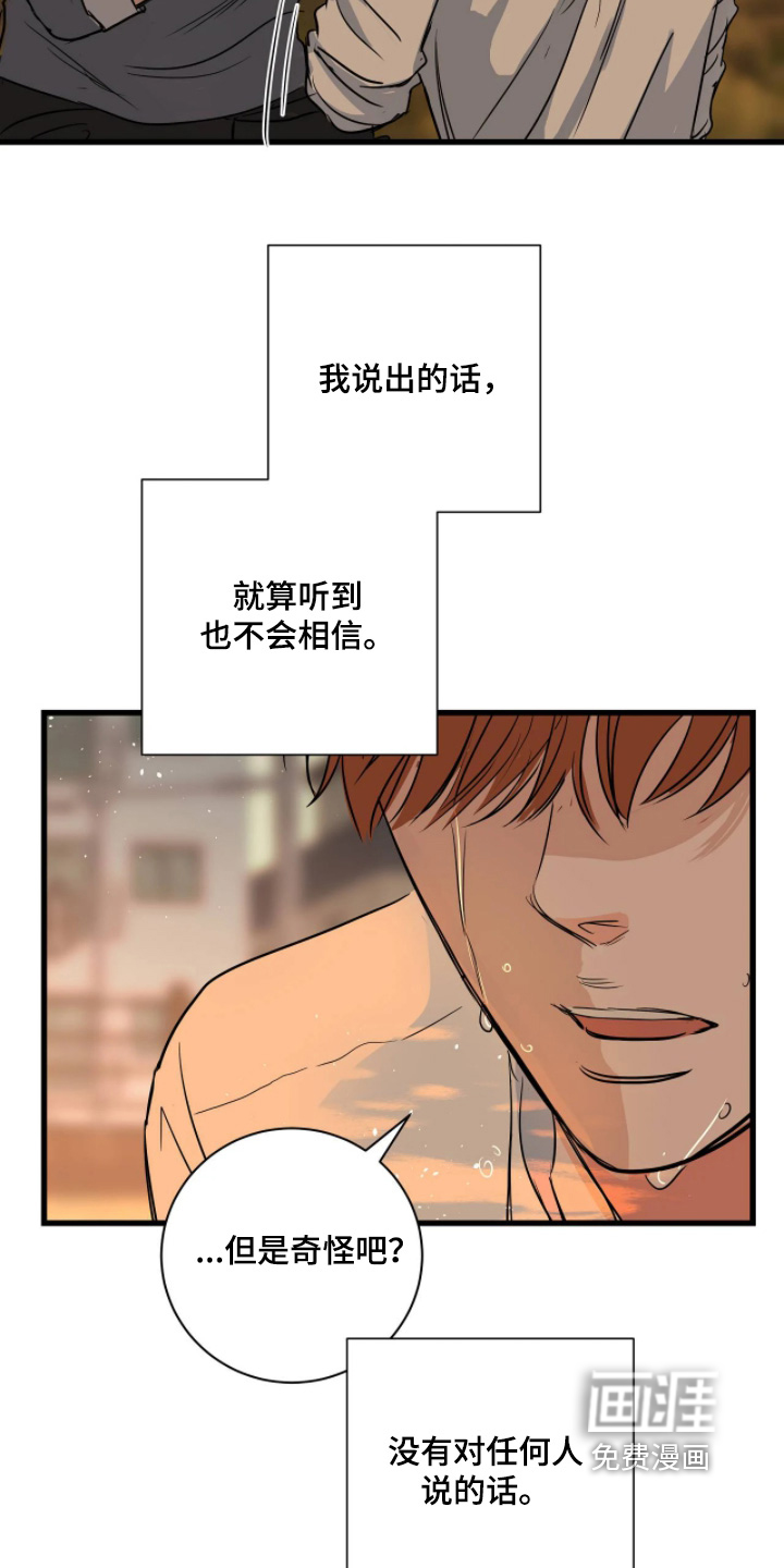 第54话19