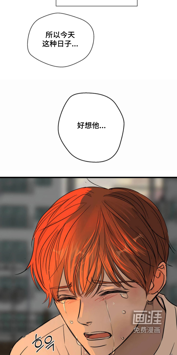 第54话23