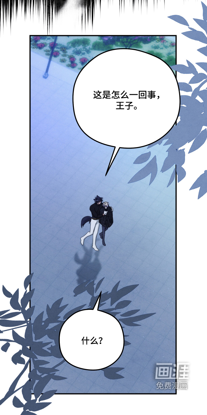 第24话2