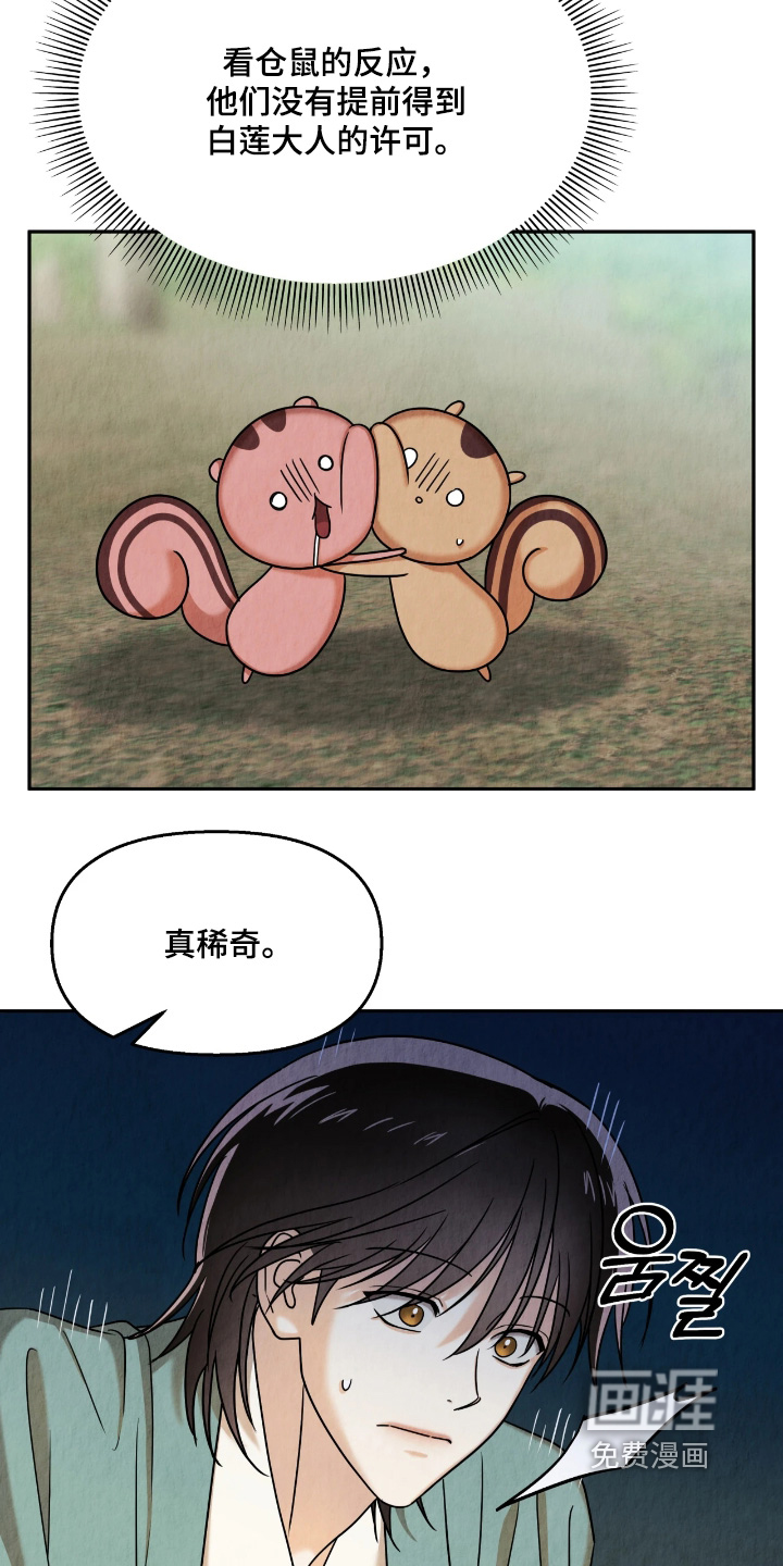 第17话17
