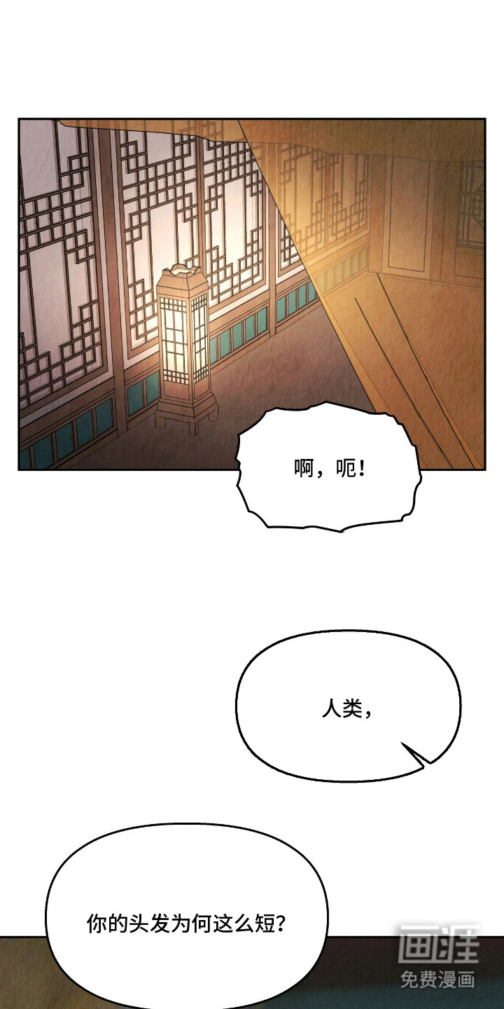 第9话8