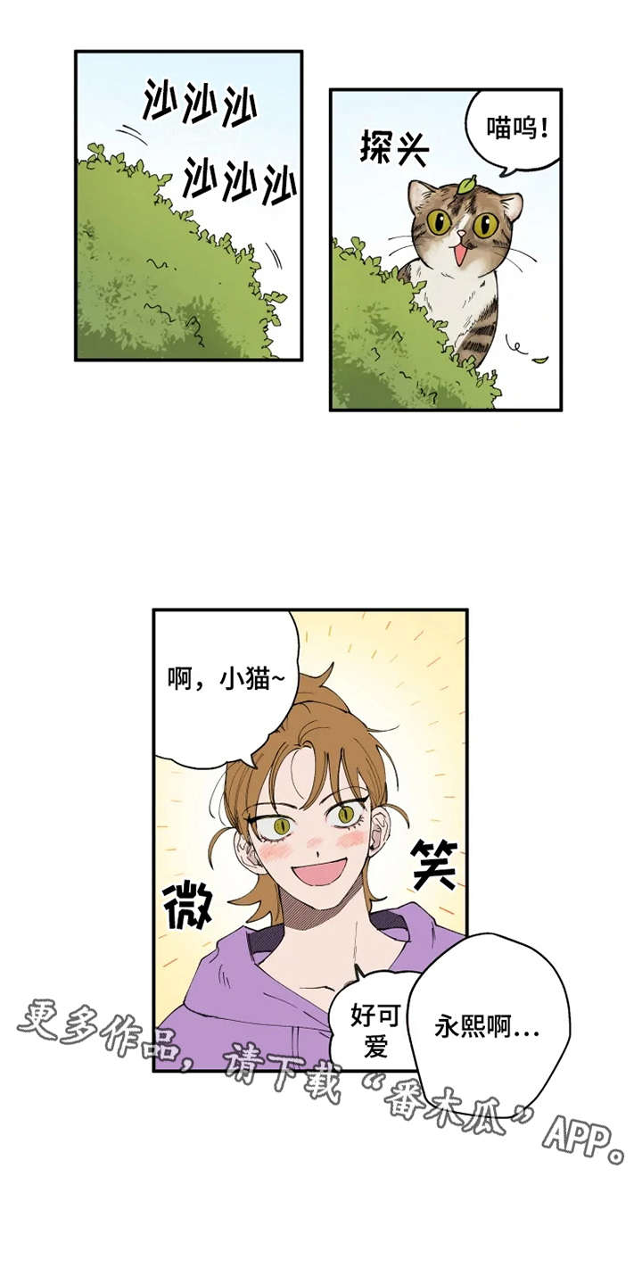 第8话6
