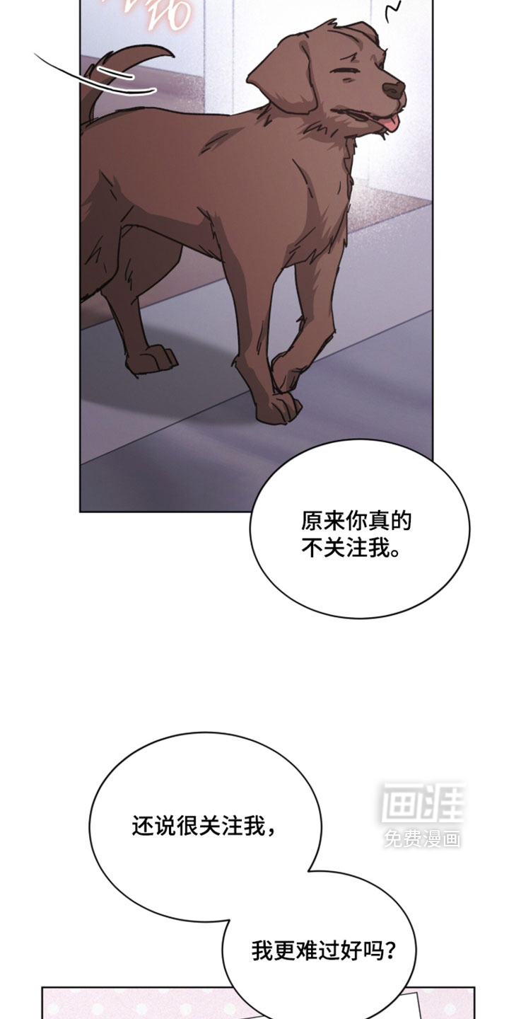第80话11