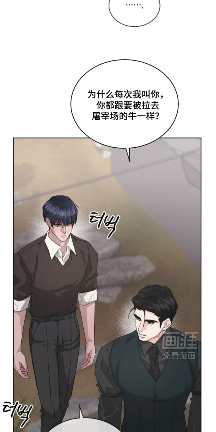 第50话11