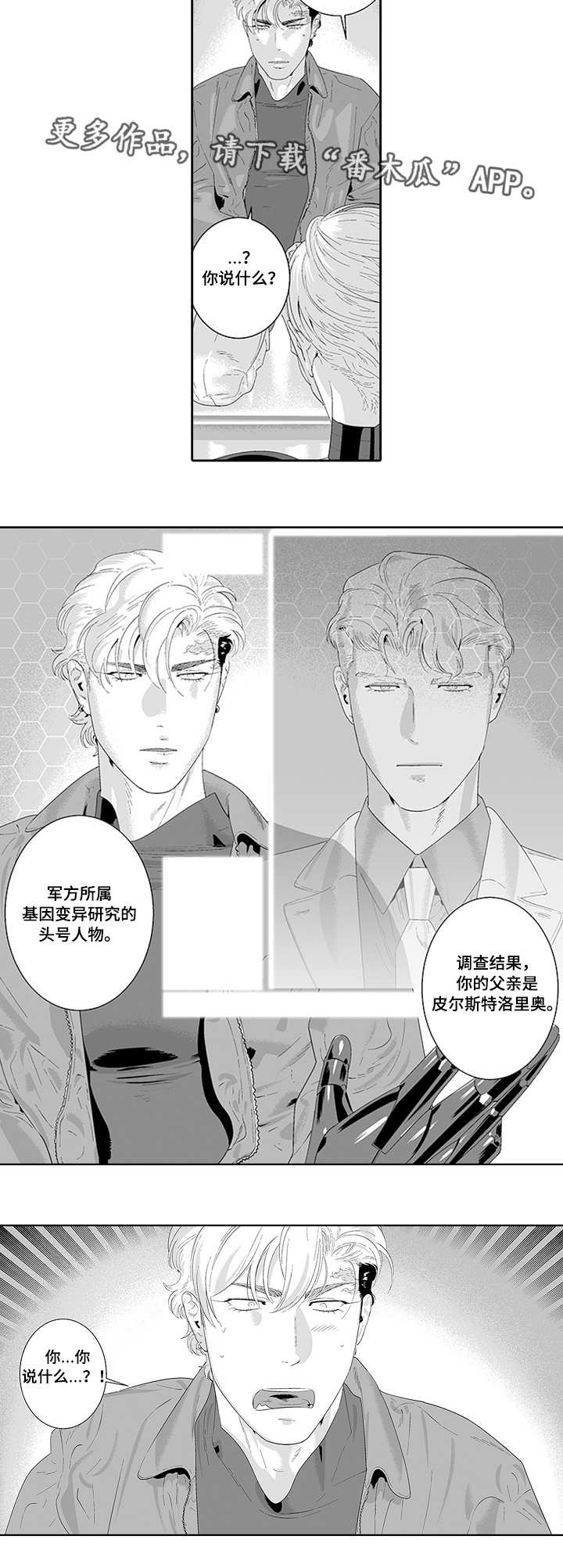 第33话8