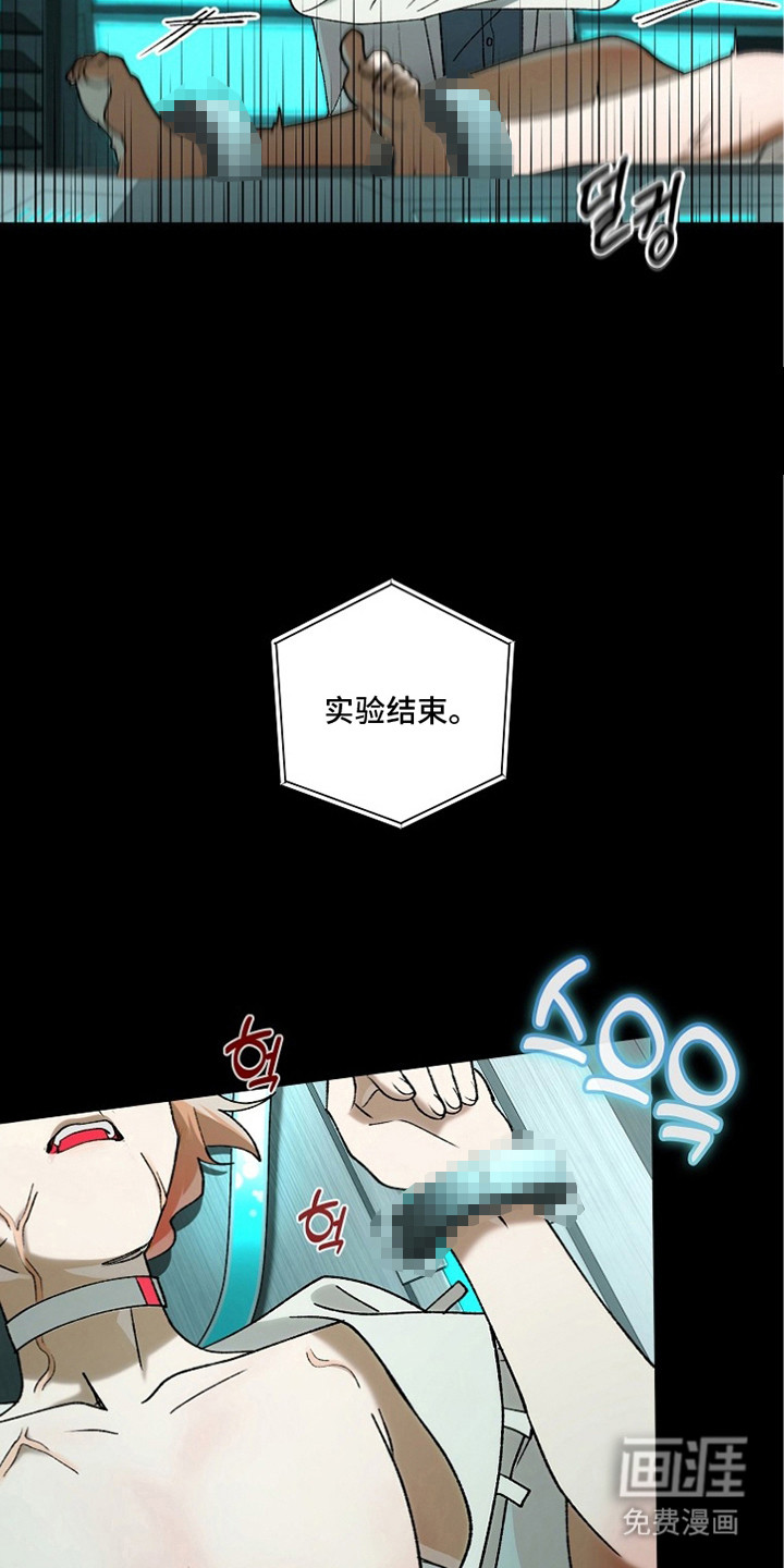 第5话17