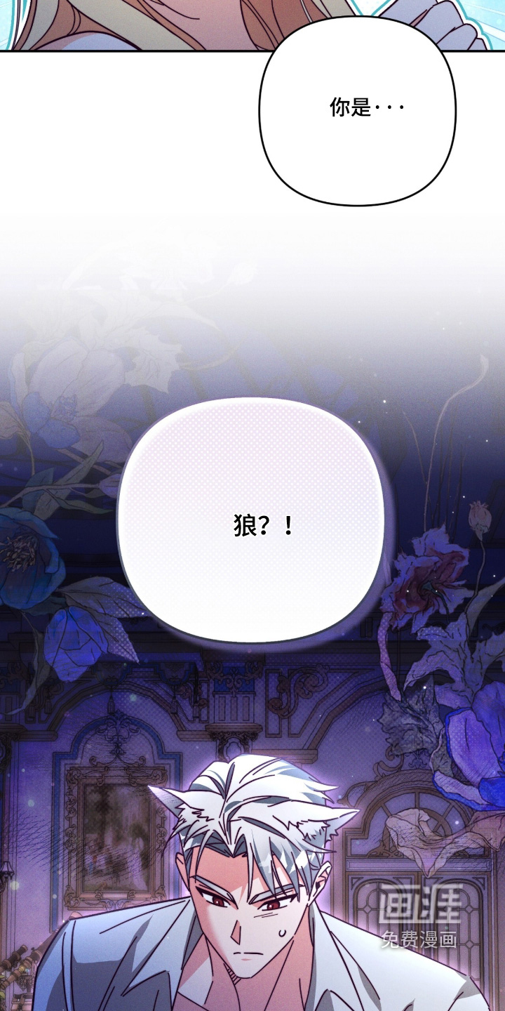 第29话24