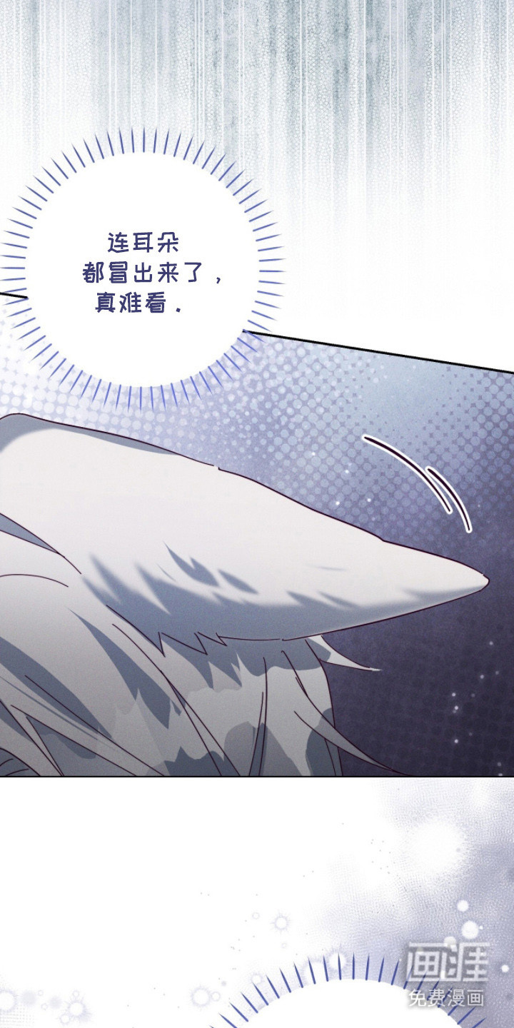 第11话5
