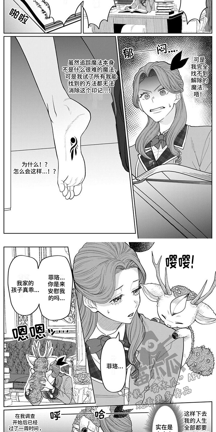 第8话5