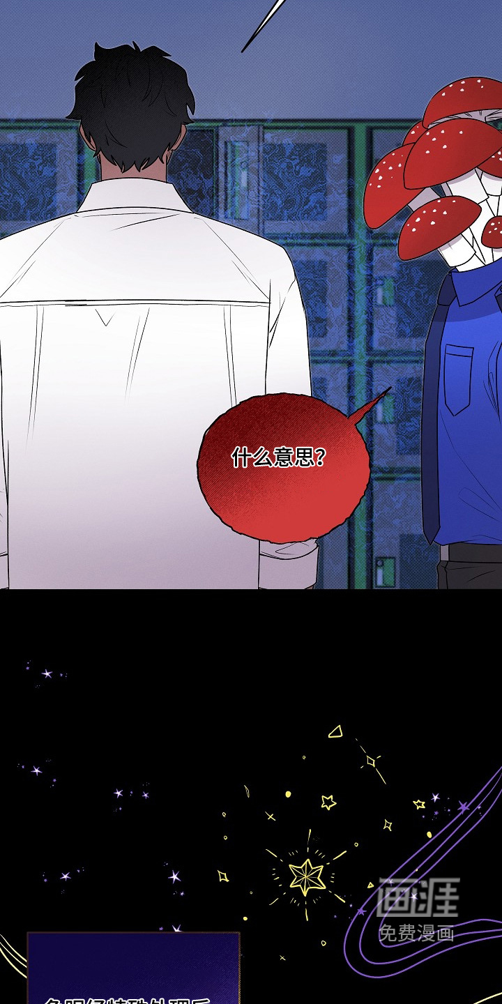 第51话3