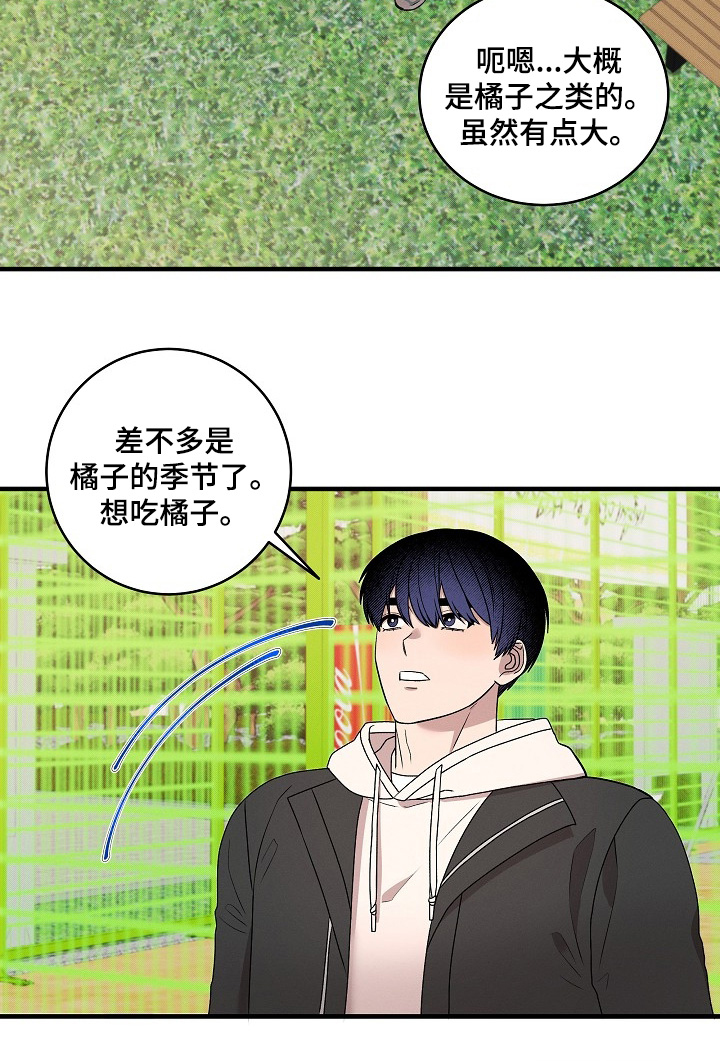 第29话17