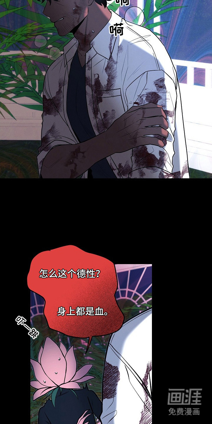 第10话11