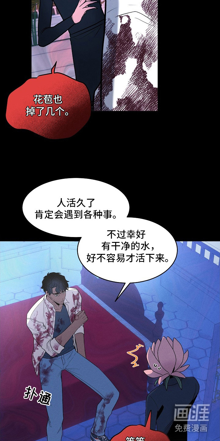 第10话12