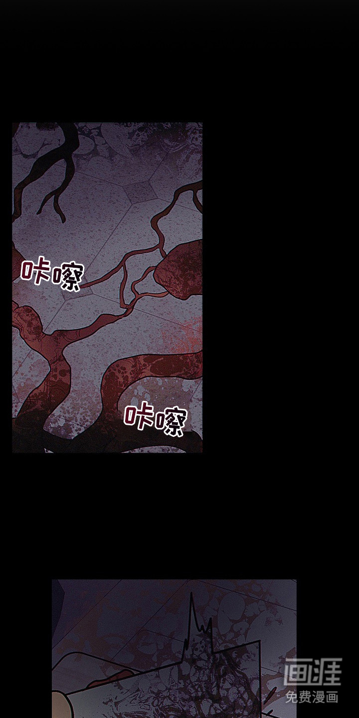 第5话11