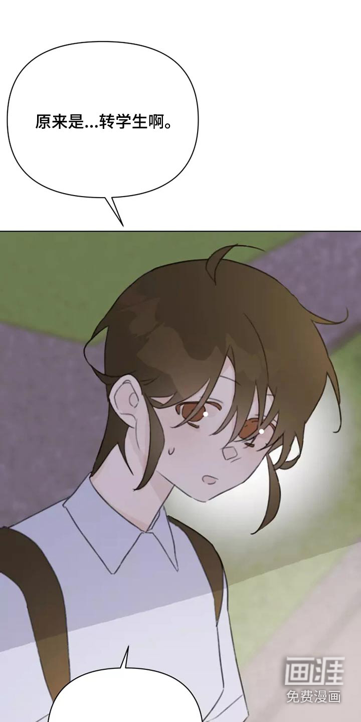 第38话13