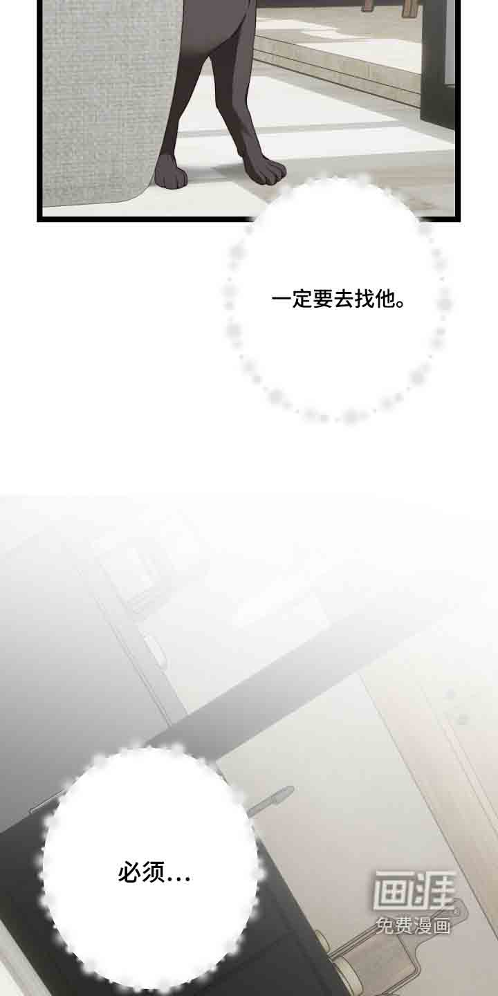 第55话13