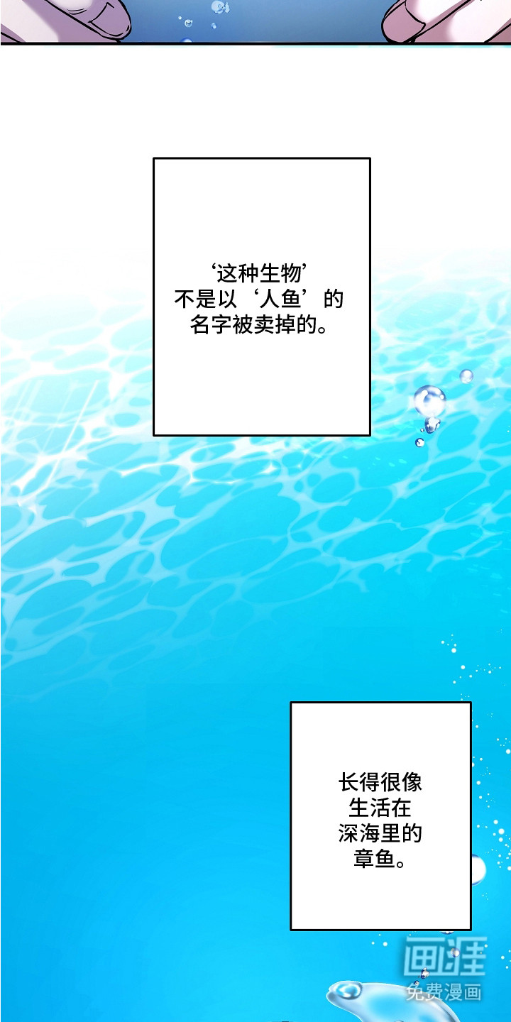 第17话19