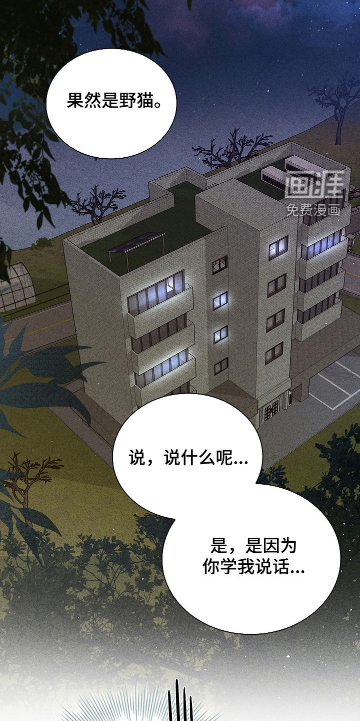 第36话17