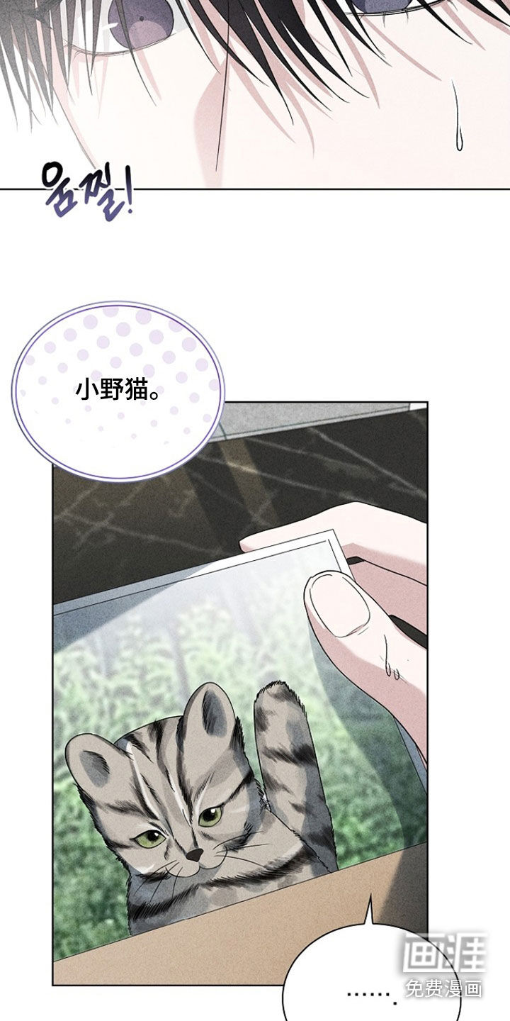 第40话29