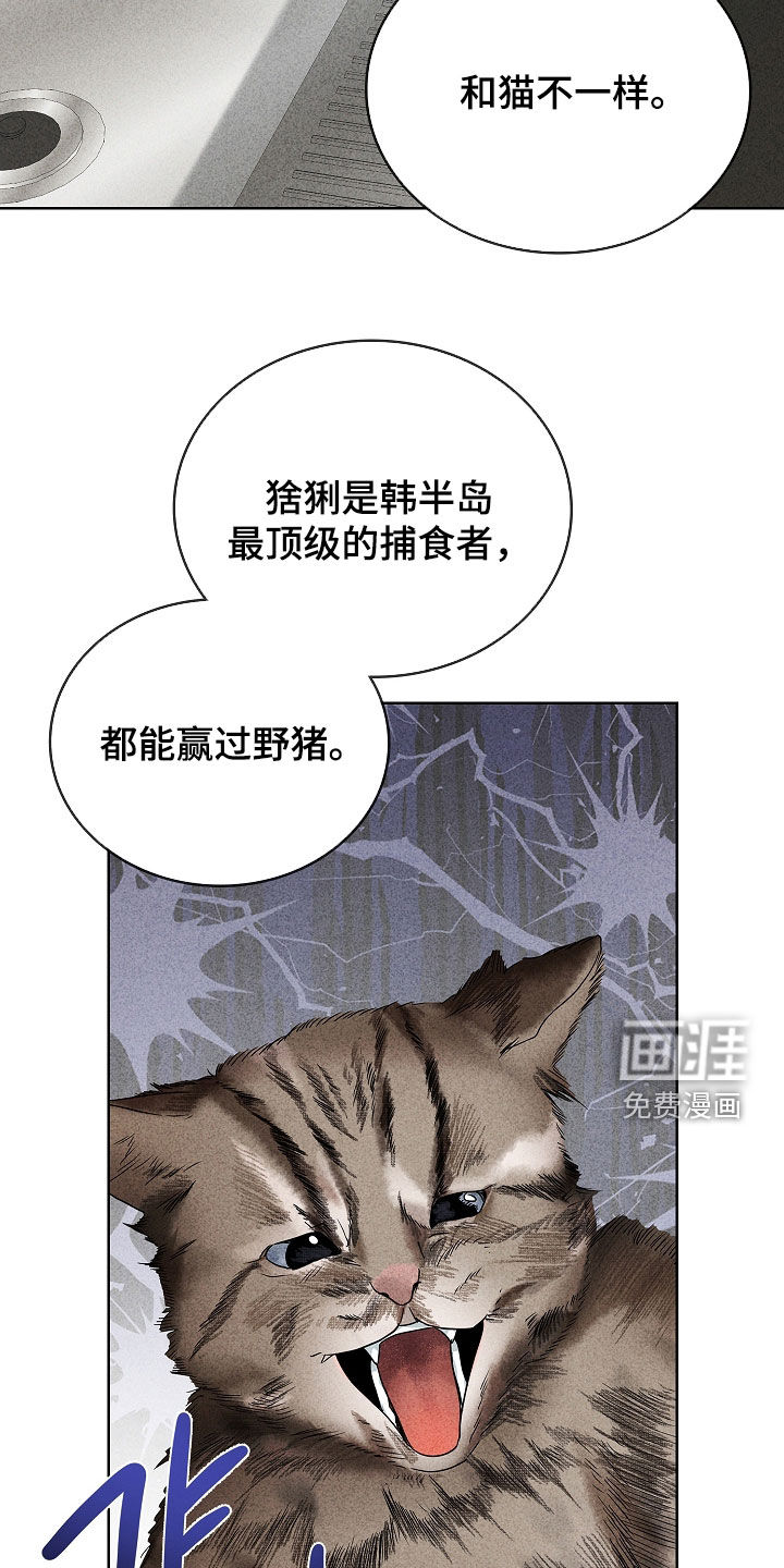 第27话15