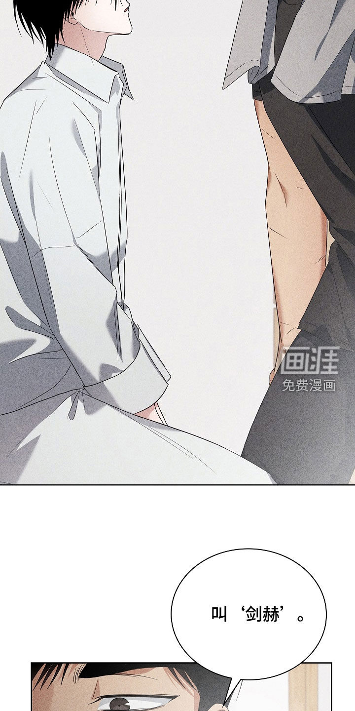 第31话17