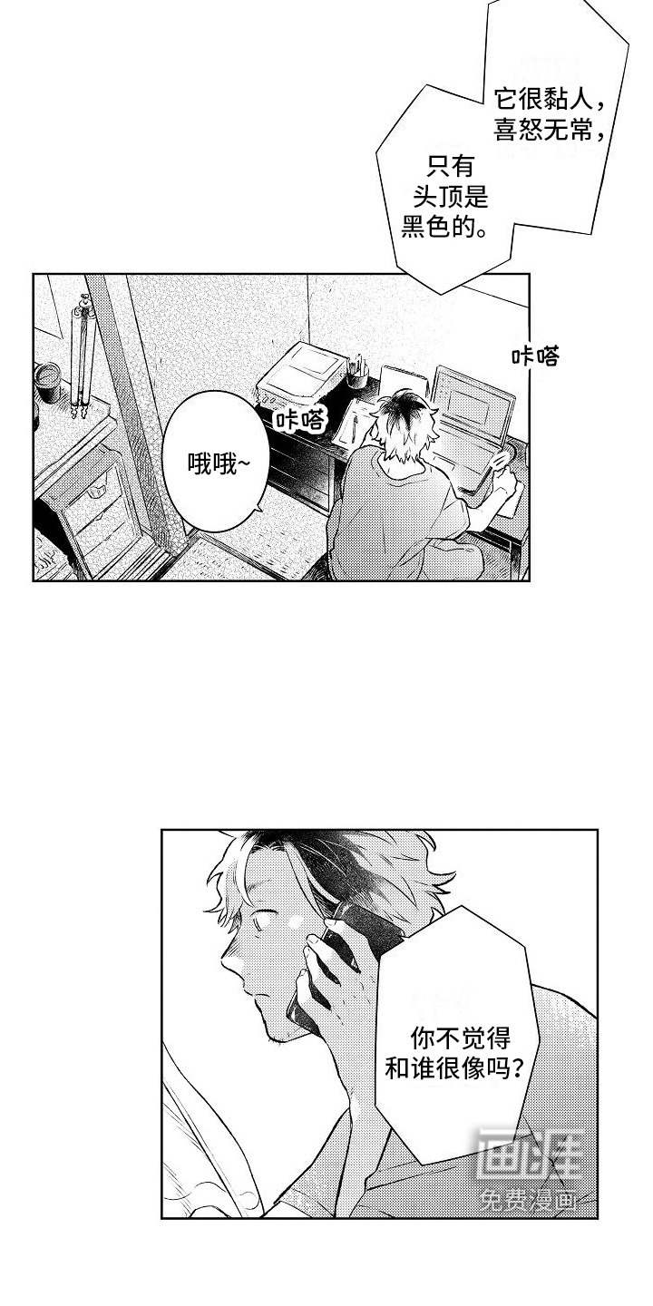 第11话10