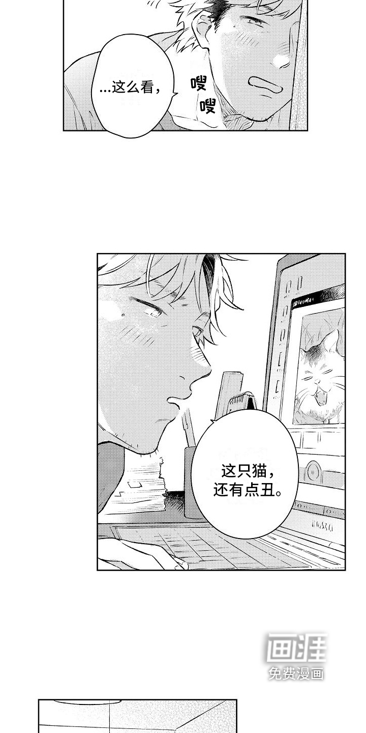 第11话13