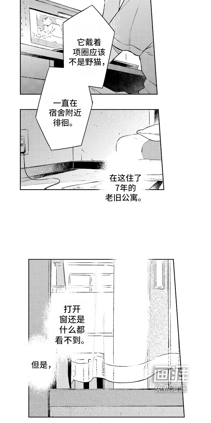 第11话6