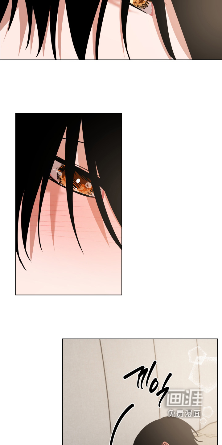 第49话10