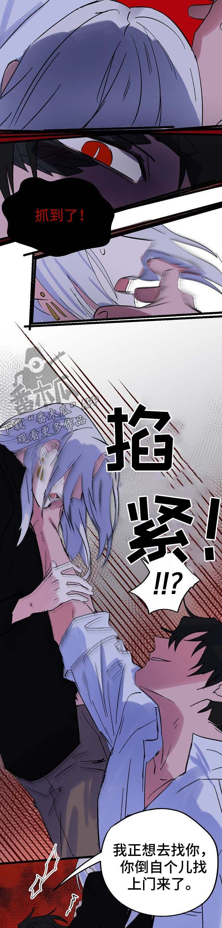 第40话4
