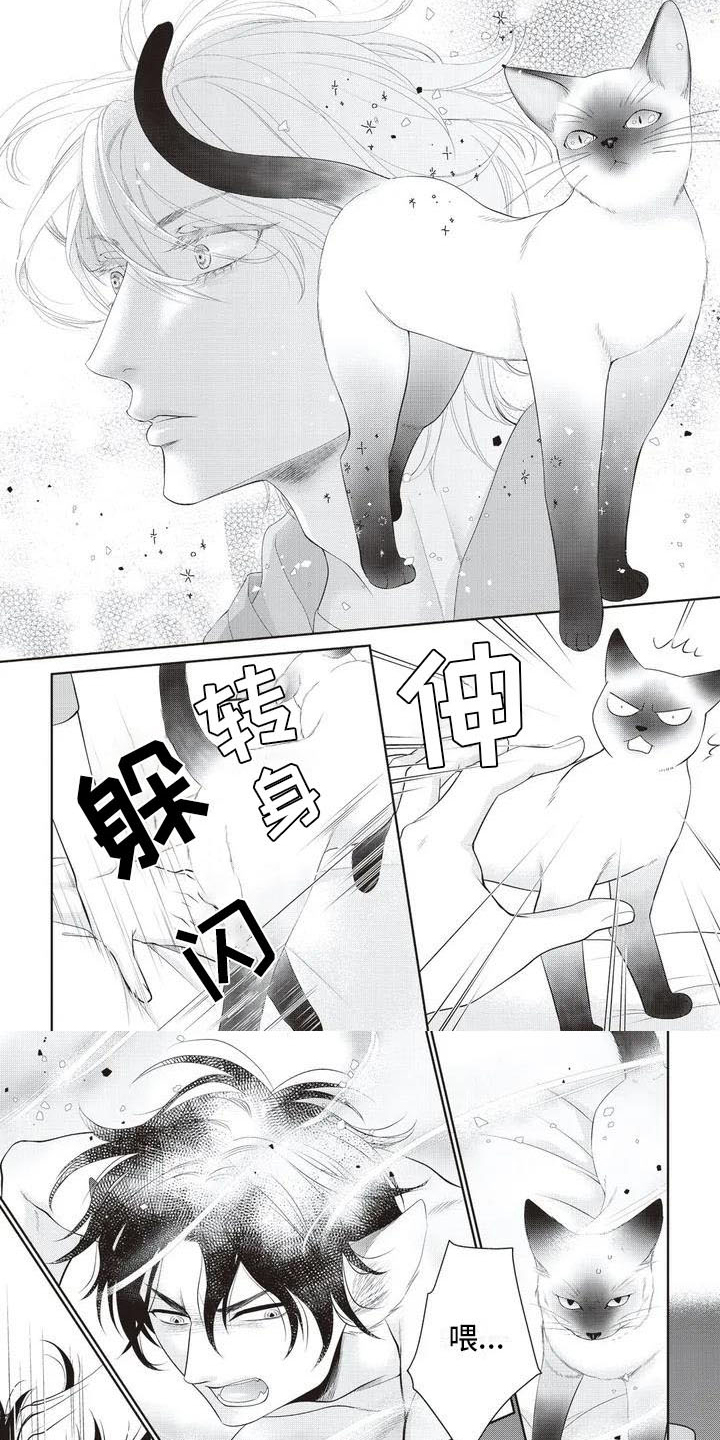 第28话6
