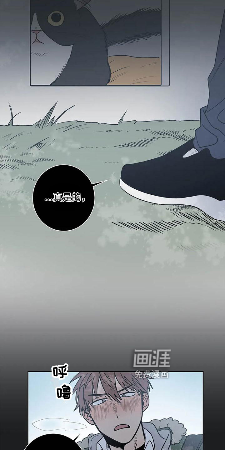第7话11