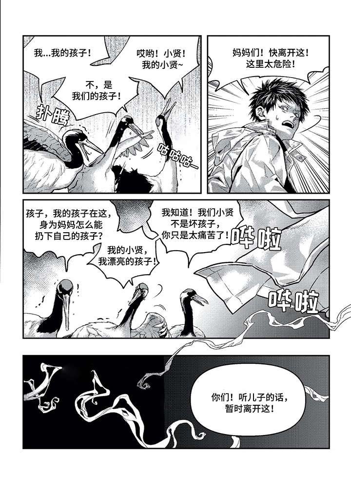 第11话5