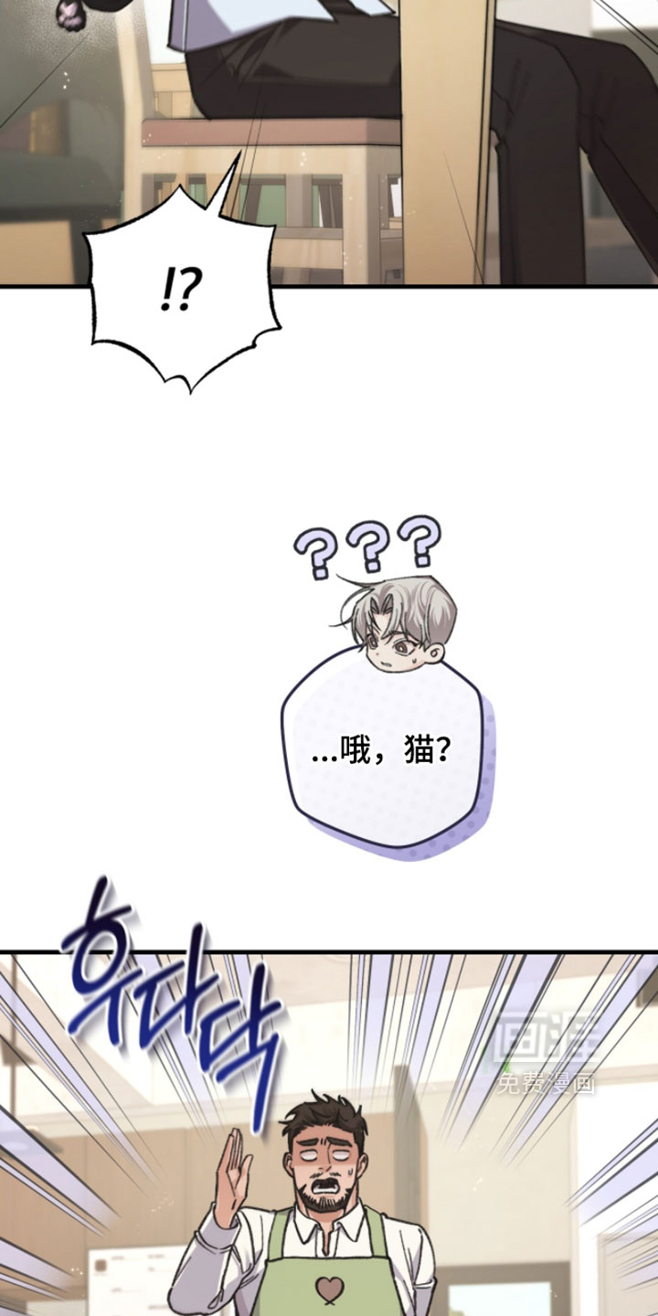 第43话16