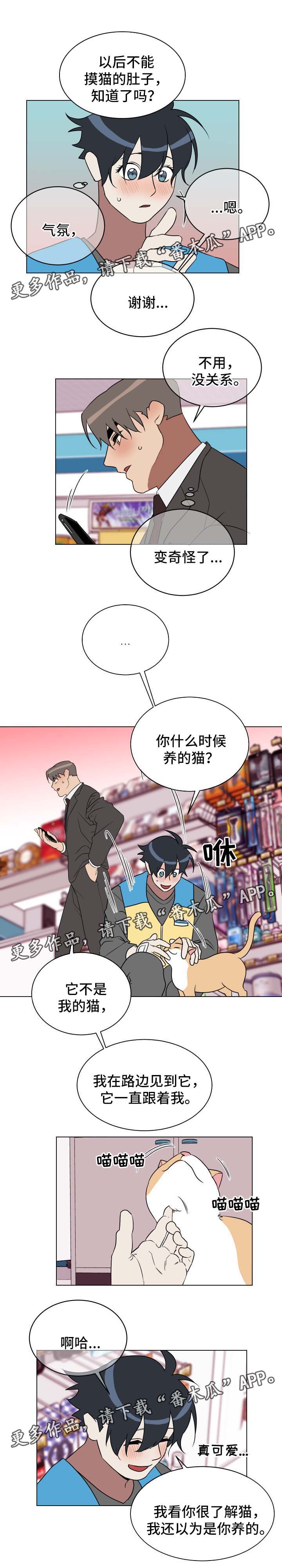 第31话0