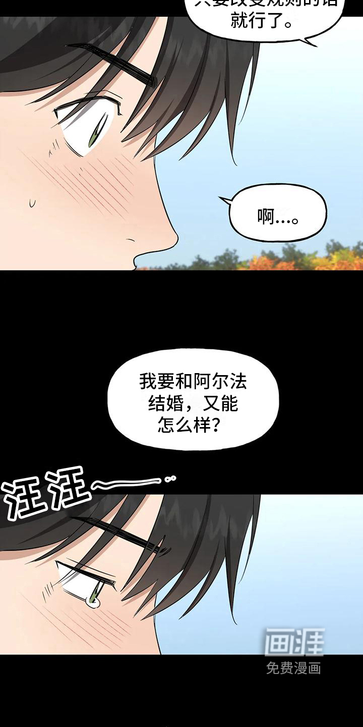 第5话11
